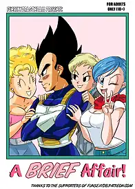 A Brief Affair!  Dragon Ball Super by FunsexyDB (Chapter 01)